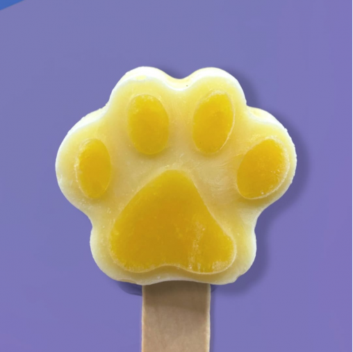 Paleta para Mascotas Mango * AMANA