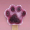 Paleta de Perro Arandano BCB