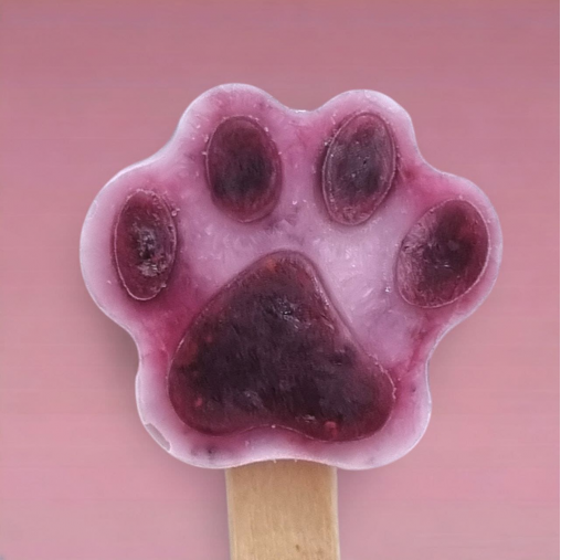 Paleta de Perro Arandano BCB