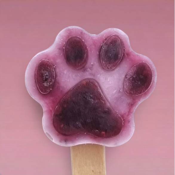 Paleta de Perro Arandano BCB