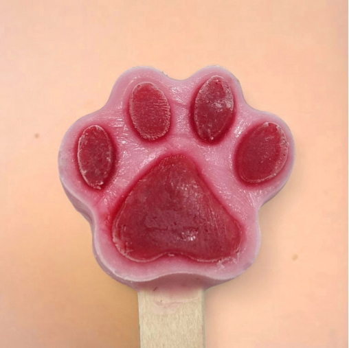 Paleta de Perro Frutilla