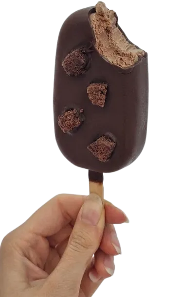 Paleta Artesanal